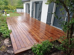 Photo terrasse pins marron 2.jpg